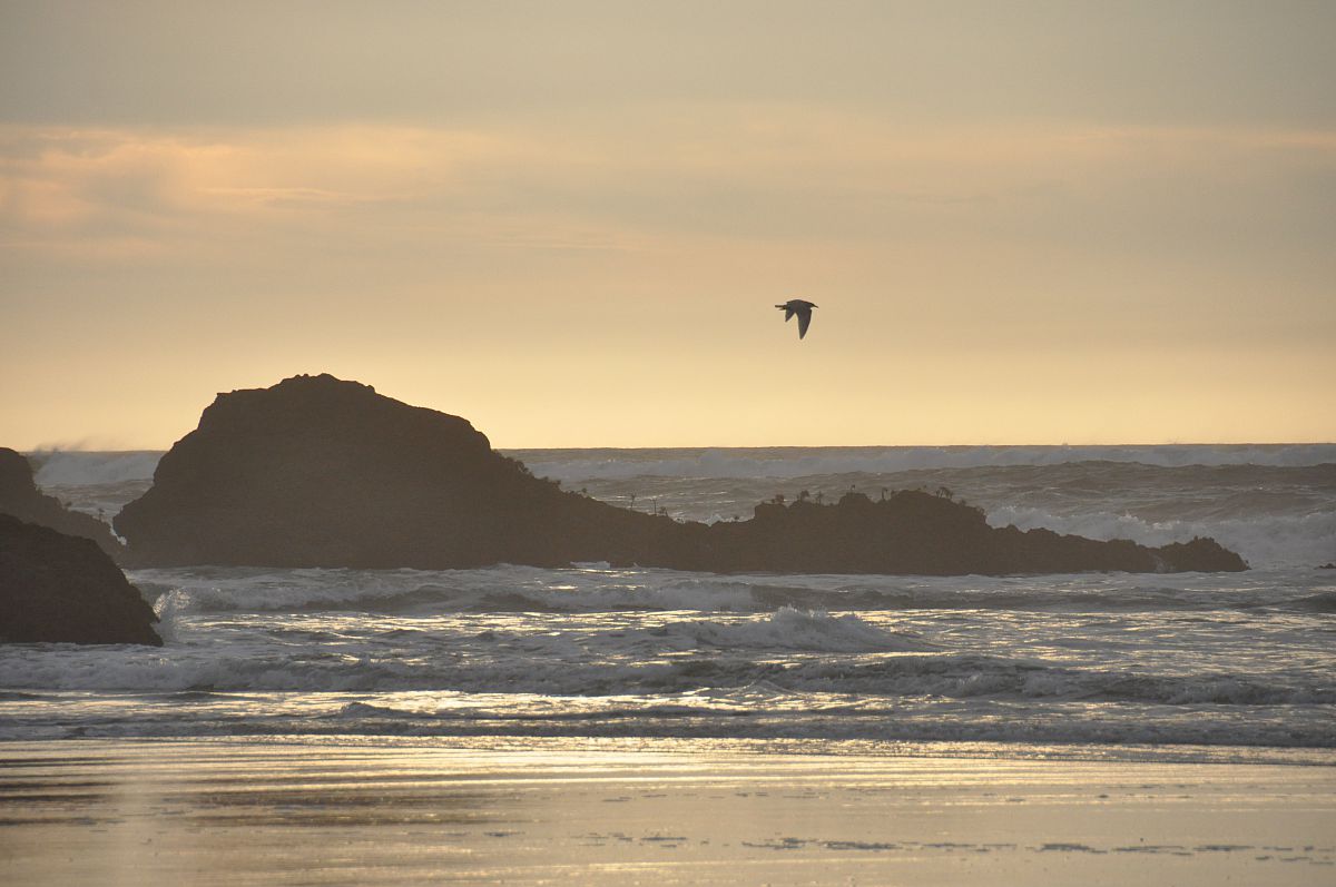 Dusk - from the Bandon Thanksgiving 2011 photo gallery.