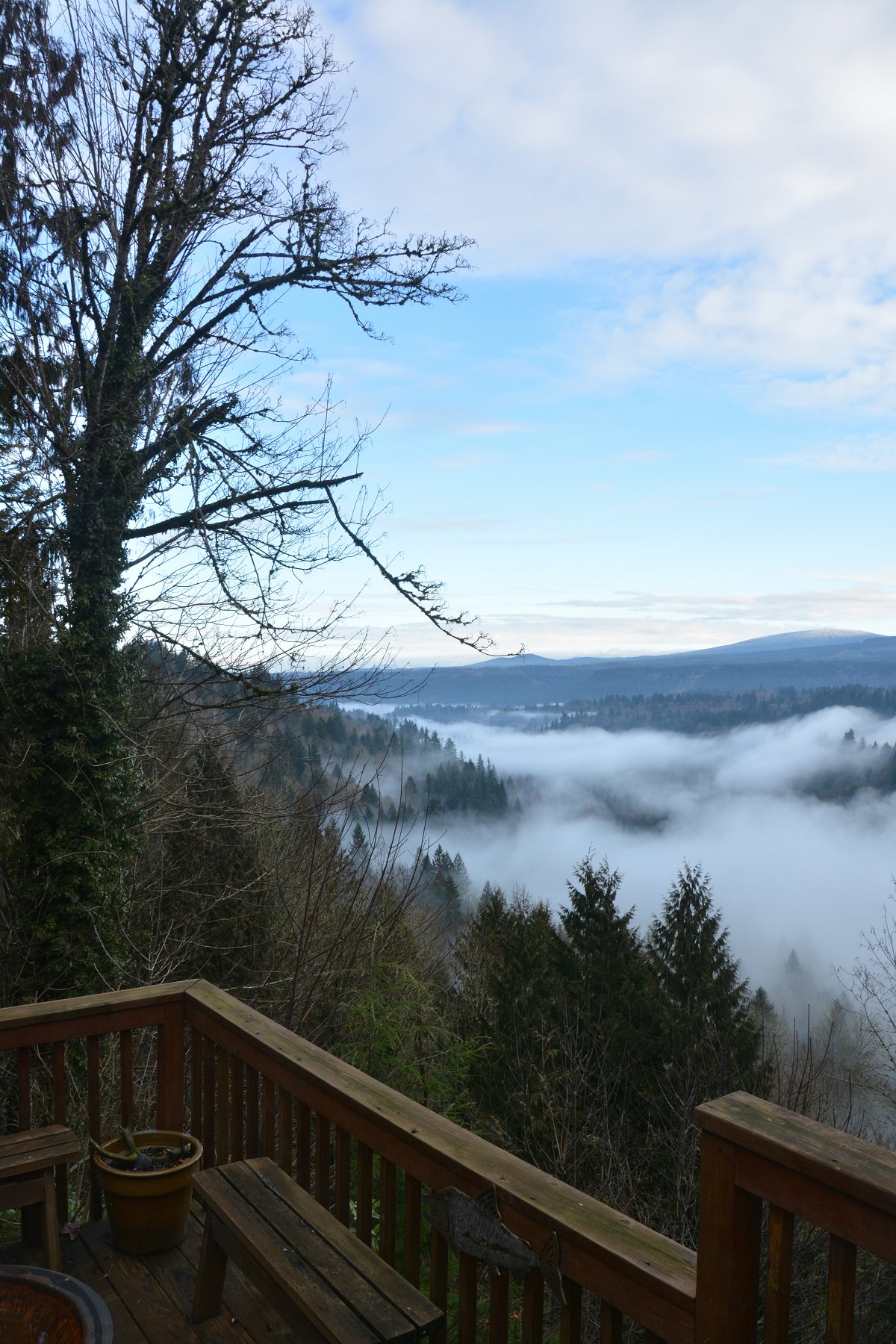 Rodney's deck - morning foggy view - from the Dirt Biking with Miriam and Rodney photo gallery.