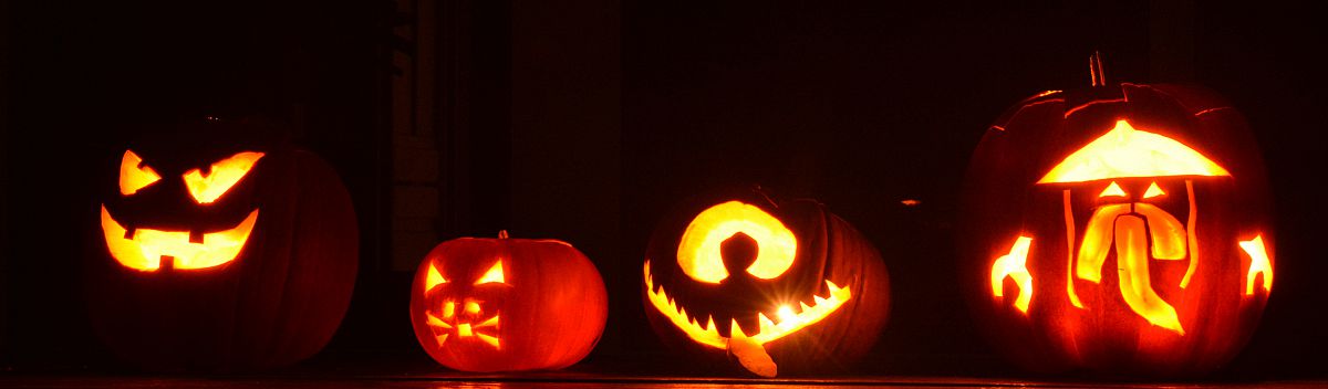 All four inedible squashy things - from the Halloween 2013 photo gallery.