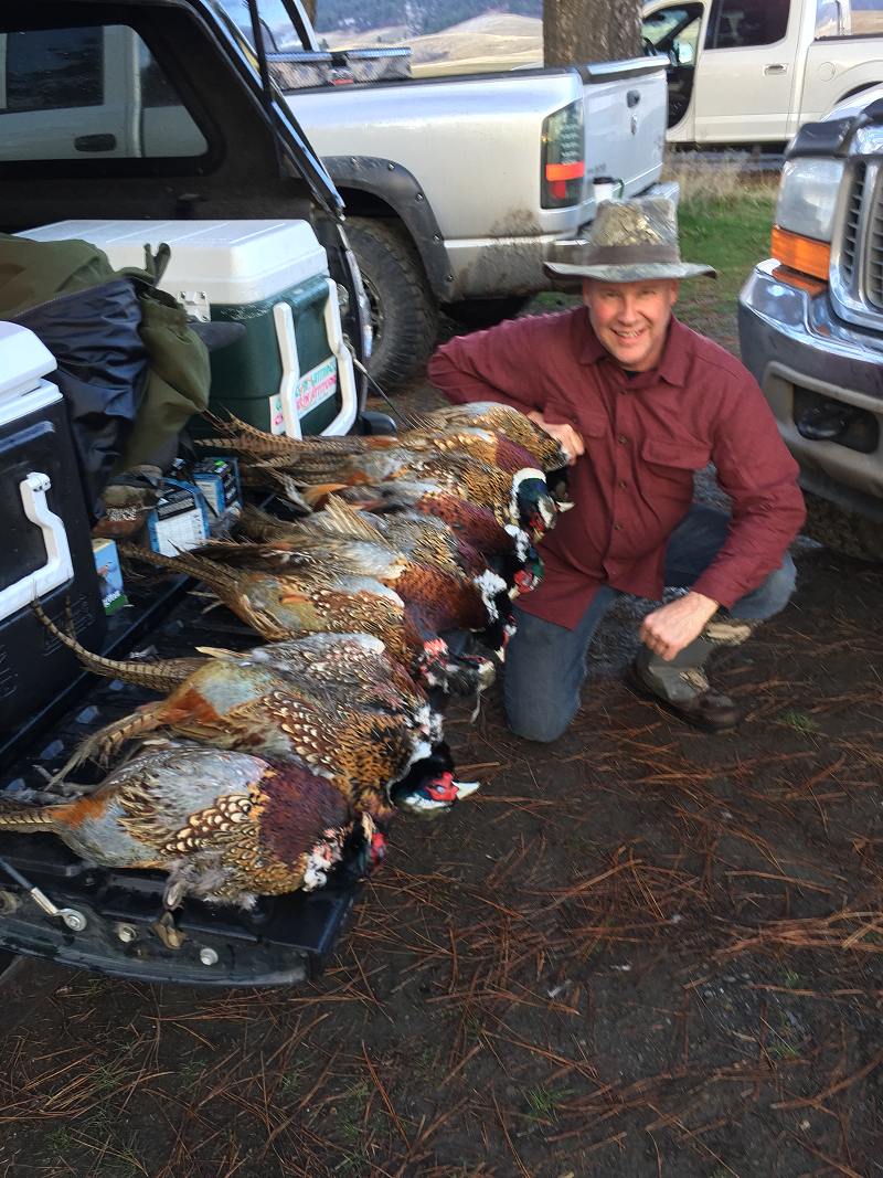Michael and pheasants that the whole group got - from the Hungarian Partridge and Pheasants - Double Barrel Ranch photo gallery.