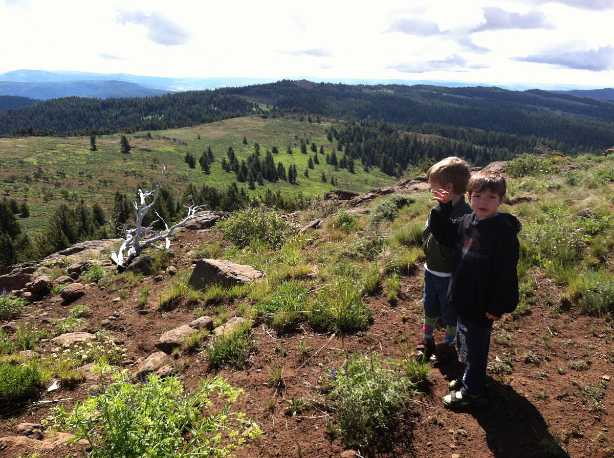 Top of Spanish Peak in Ochoco National Forest - from the Land Rover Rally Prineville July 2012 photo gallery.