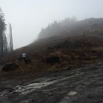 A foggy day on Saddle Mountain