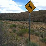 The only roadsign in Nevada without bullet holes
