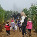 Walking through the corn to the hay ride